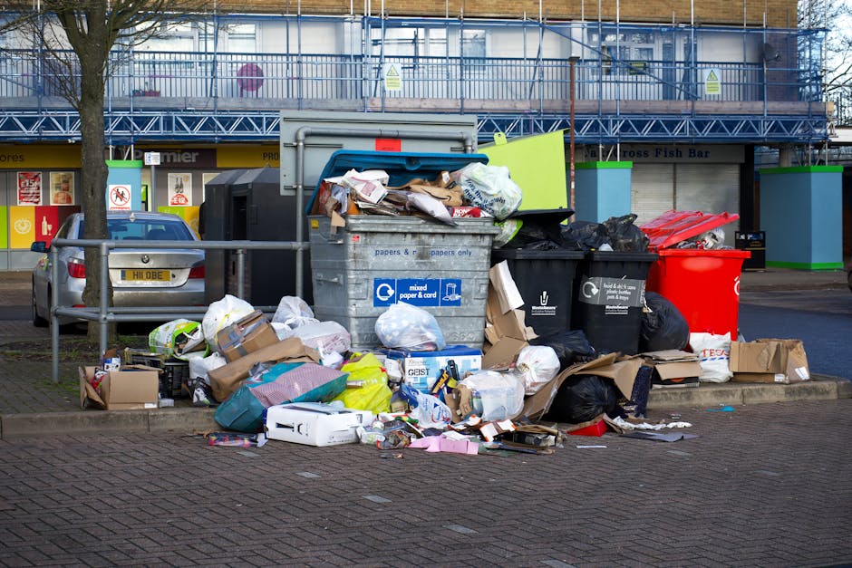 SE3 rubbish removal tips near Blackheath Station